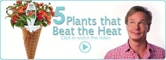 FivePlantseNewsImage
