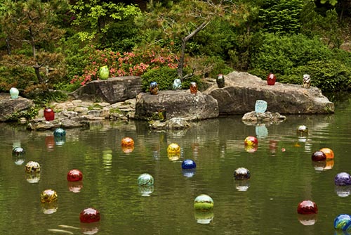 GarvanSplashGlass