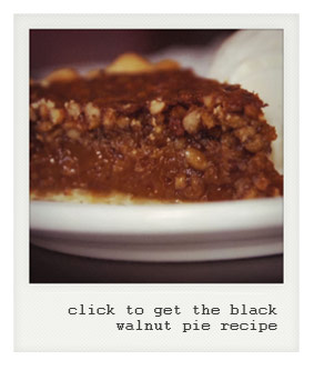 Black Walnut Pie